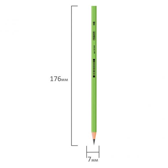 Карандаш чернографитный ПИФАГОР, 1 шт., НВ, пластиковый, корпус салатовый, без резинки