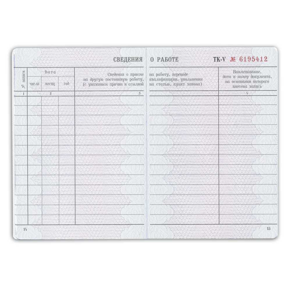 Бланк Трудовая книжка РФ