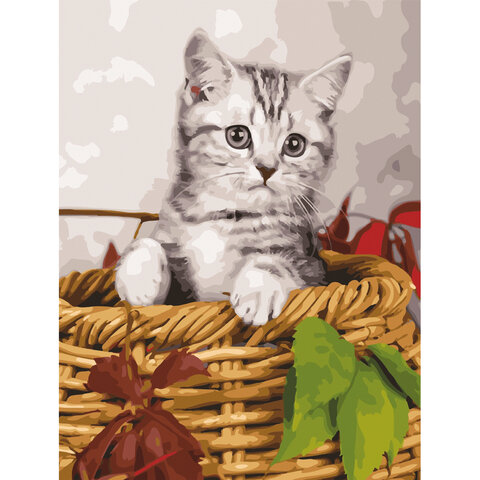 Картина по номерам 40х50 см, ОСТРОВ СОКРОВИЩ "Котёнок", на подрамнике, акриловые краски, 3 кисти