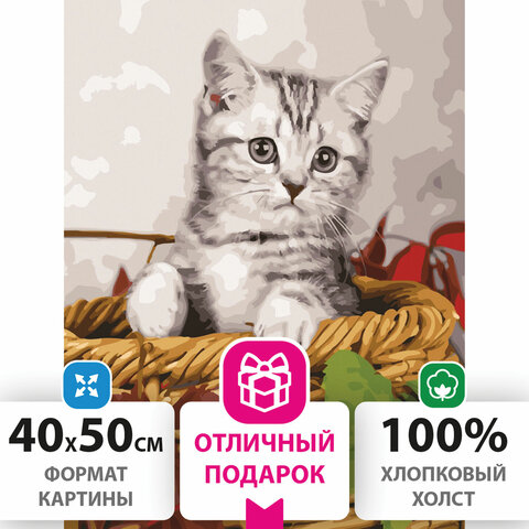 Картина по номерам 40х50 см, ОСТРОВ СОКРОВИЩ "Котёнок", на подрамнике, акриловые краски, 3 кисти