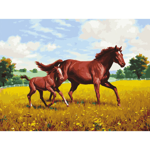 Картина по номерам 40х50 см, ОСТРОВ СОКРОВИЩ "Лошади на лугу", на подрамнике, акриловые краски, 3 кисти