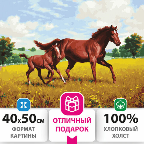Картина по номерам 40х50 см, ОСТРОВ СОКРОВИЩ "Лошади на лугу", на подрамнике, акриловые краски, 3 кисти
