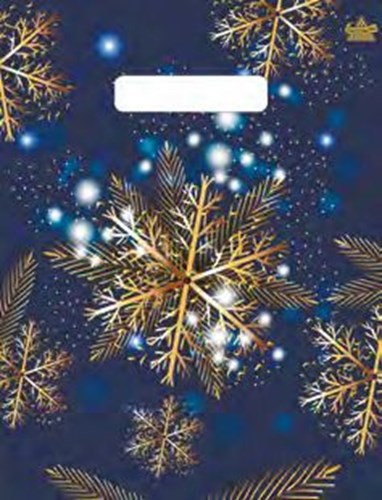 Пакет подарочный Снежинка 23*30см