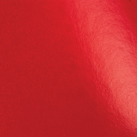 Набор цветного картона и бумаги А4 мелованные (глянцевые), 8+8 цветов, в папке, BRAUBERG, 200х290 мм, "Радуга"