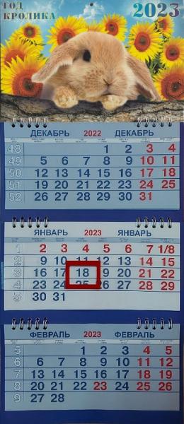 Календарь квартальный на 2023 г., МАЛЫЙ 3 блока, 3 гребня, с бегунком, Кролик в подсолнухах