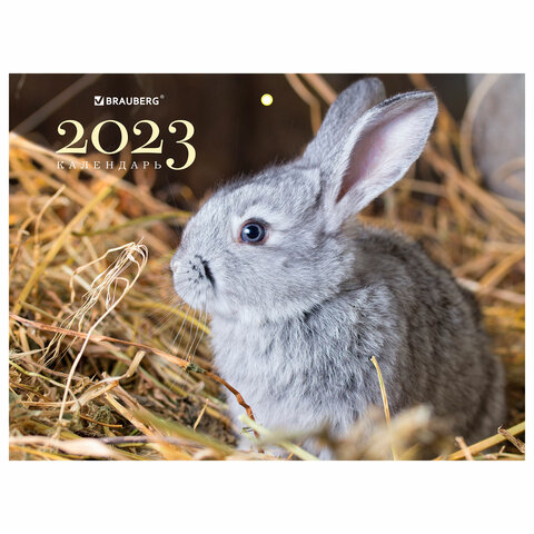 Календарь квартальный на 2023 г., 3 блока, 3 гребня, с бегунком, офсет, "FUNNY BUNNY", BRAUBERG
