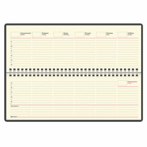 Планинг настольный недатированный (305х140 мм) BRAUBERG "Alligator", под кожу, 60 л., бордовый