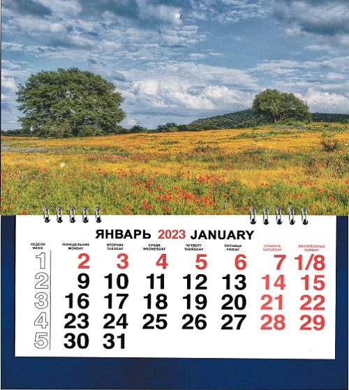 Календарь одноблочный МАЛЫЙ на 2023г. Цветочный луг КМ-23335