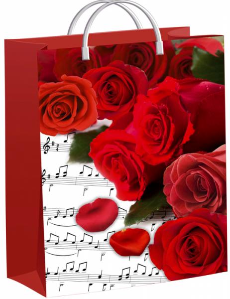 Пакет 40*30см (140мк) с пластиковой ручкой "Пиано" мягкий пластик