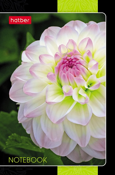 Блокнот А7 48л на клею "Цветочная галактика" клетка, 3-х цветный блок, Hatber