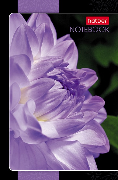 Блокнот А7 48л на клею "Цветочная галактика" клетка, 3-х цветный блок, Hatber