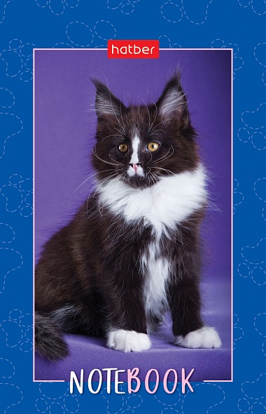 Блокнот А7 48л на клею "Пушистые лапки" клетка, 3-х цветный блок, Hatber