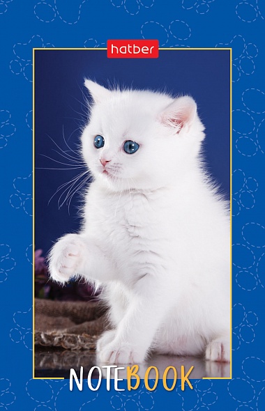 Блокнот А7 48л на клею "Пушистые лапки" клетка, 3-х цветный блок, Hatber