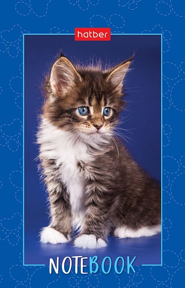 Блокнот А7 48л на клею "Пушистые лапки" клетка, 3-х цветный блок, Hatber