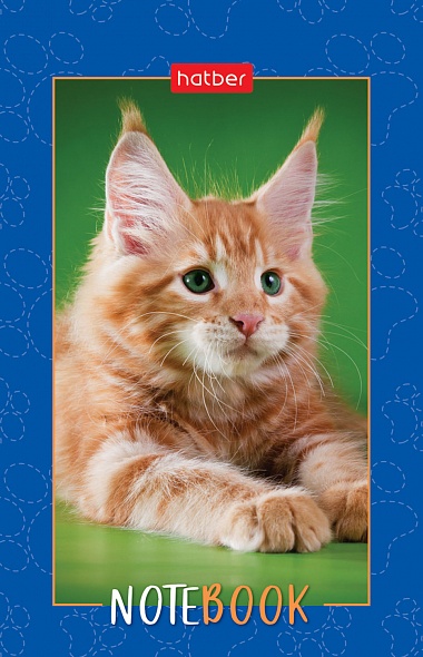 Блокнот А7 48л на клею "Пушистые лапки" клетка, 3-х цветный блок, Hatber