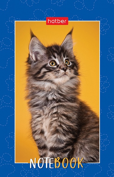 Блокнот А7 48л на клею "Пушистые лапки" клетка, 3-х цветный блок, Hatber