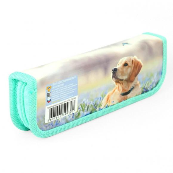 Пенал 1 отделение (190*65*30) молния, ламинированный картон Пес на прогулке