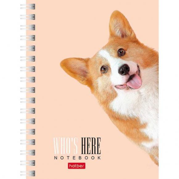 Блокнот А6 в клетку 80 листов Hatber Кто здесь?