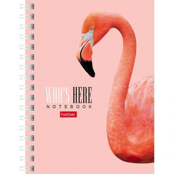 Блокнот А6 в клетку 80 листов Hatber Кто здесь?