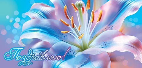 Конверт для денег "Поздравляю" Лилия