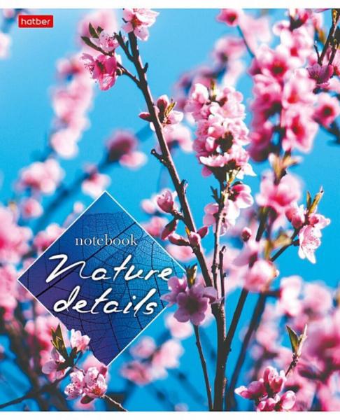 Тетрадь школьная в клетку А5 40листов, Детали природы, Hatber, белизна 98%