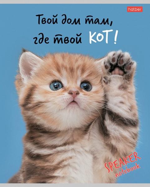 Тетрадь А5 40л кл. Hatber Кот говорит! белизна 98%