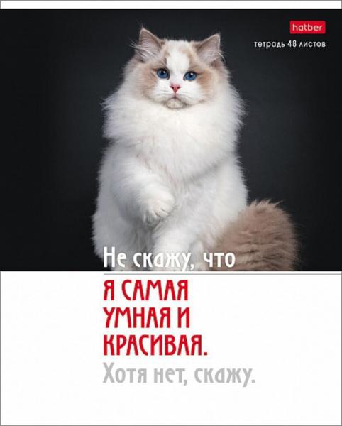 Тетрадь А5 48л кл. Hatber Котоюмор