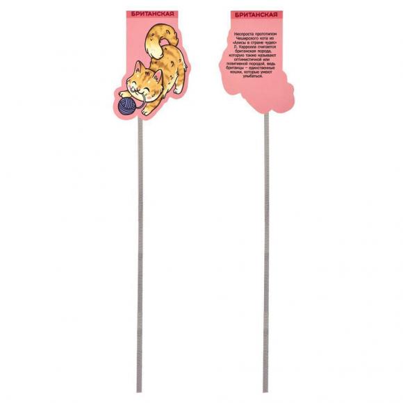 Набор закладок-ляссе магнитных 3шт. 54*38мм, 49*41мм, 62*45мм "Коты"