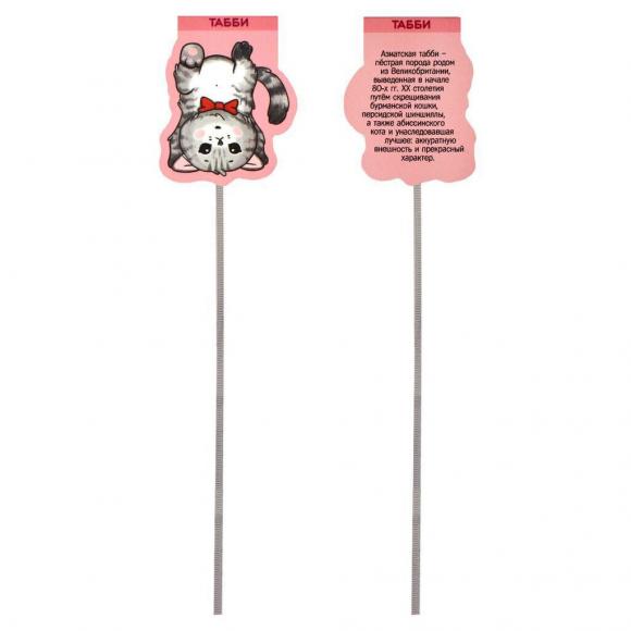 Набор закладок-ляссе магнитных 3шт. 54*38мм, 49*41мм, 62*45мм "Коты"