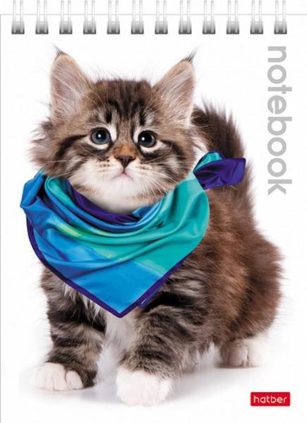 Блокнот А6 40л гребень Милые котята клетка Hatber