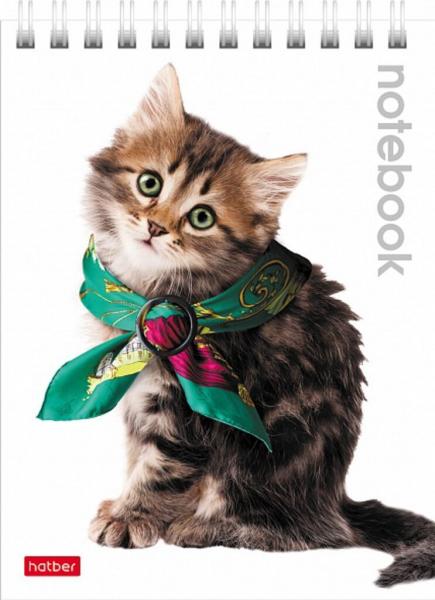 Блокнот А6 40л гребень Милые котята клетка Hatber