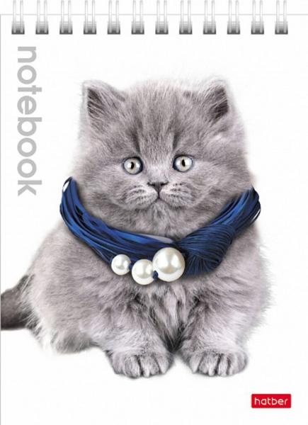 Блокнот А6 40л гребень Милые котята клетка Hatber