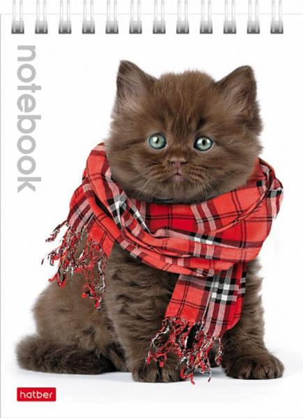 Блокнот А6 40л гребень Милые котята клетка Hatber