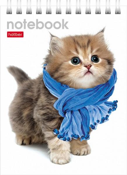 Блокнот А6 40л гребень Милые котята клетка Hatber