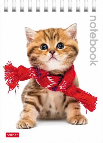 Блокнот А6 40л гребень Милые котята клетка Hatber