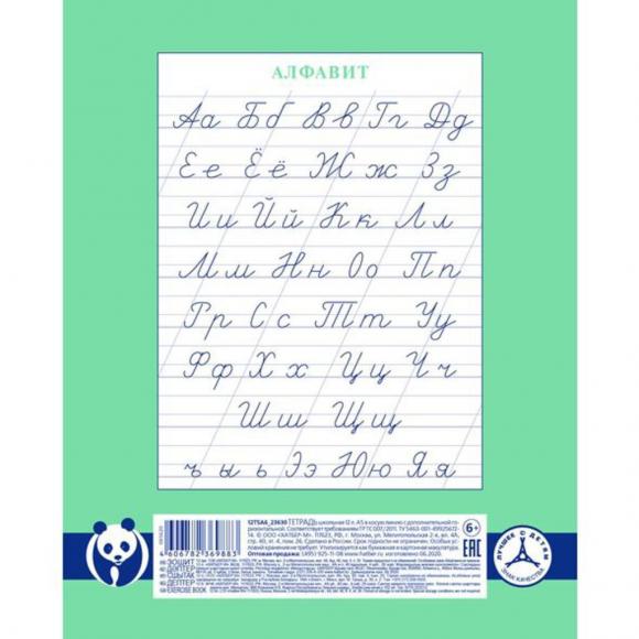 Тетрадь школьная А5 12листов, косая линия с дополнительной горизонтальной линией, Hatber Панда-Тетрадь