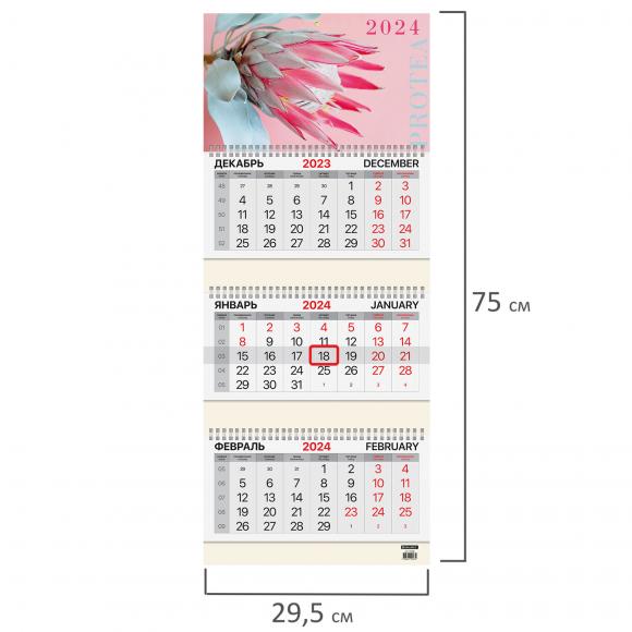 Календарь квартальный на 2024 г., 3 блока, 3 гребня, с бегунком, мелованная бумага, BRAUBERG, "Protea", 115290