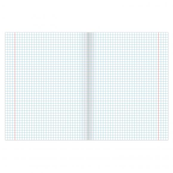 Тетрадь А5, 96 л., BRAUBERG, скоба, клетка, обложка картон, ГОРОДА РОССИИ