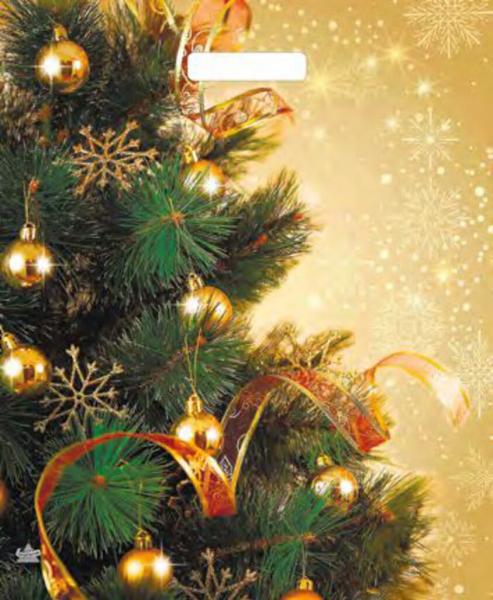 Пакет 45*38см (60мк) с вырубной укрепленной ручкой "Золотое настроение" Ламинат