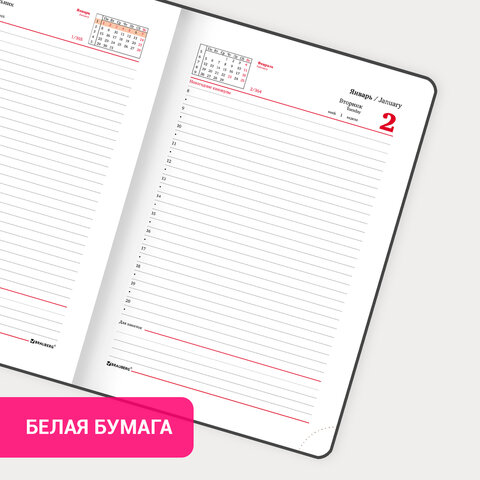 Ежедневник датированный 2024 А5 138x213 мм, BRAUBERG "Foliage", под кожу, коралловый