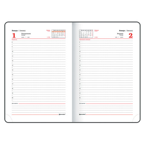 Ежедневник датированный 2024 А5 138x213 мм, BRAUBERG "Foliage", под кожу, коралловый