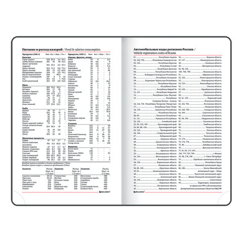 Ежедневник датированный 2024 МАЛЫЙ ФОРМАТ 100х150 мм А6, BRAUBERG "Rainbow", под кожу, красный