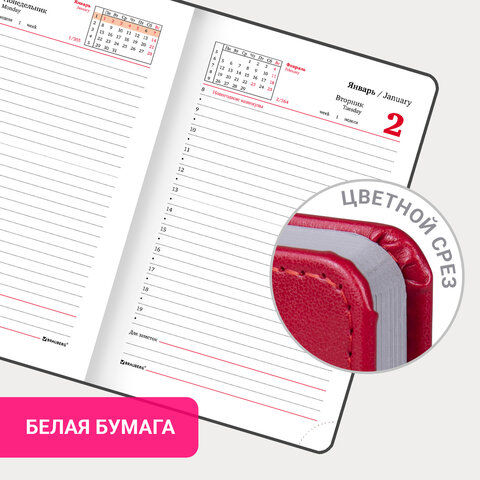 Ежедневник датированный 2024 МАЛЫЙ ФОРМАТ 100х150 мм А6, BRAUBERG "Rainbow", под кожу, красный