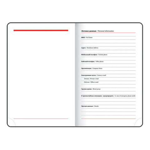 Ежедневник датированный 2024 МАЛЫЙ ФОРМАТ 100х150 мм А6, BRAUBERG "Rainbow", под кожу, красный