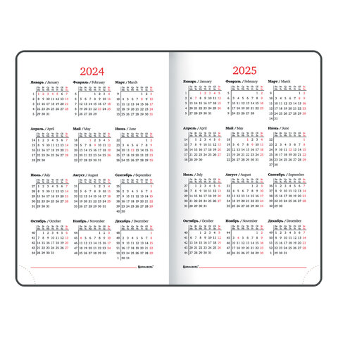 Ежедневник датированный 2024 МАЛЫЙ ФОРМАТ 100х150 мм А6, BRAUBERG "Rainbow", под кожу, красный