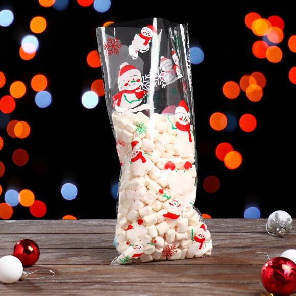 Пакет подарочный прозрачный 13 х 27 см Дед мороз,