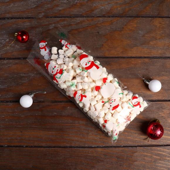 Пакет подарочный прозрачный 13 х 27 см Дед мороз,