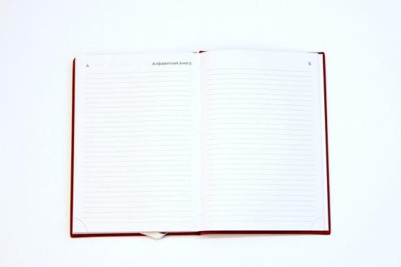 Набор подарочный "Bellagio" ежедневник 2024г А5, 352 страницы, коричневый, твердая обложка, искусственная кожа, + ручка