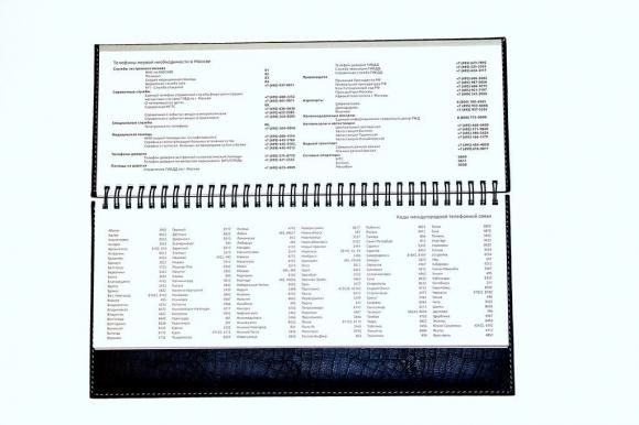 Планинг датированный 2024г Vertical, 310*145мм 64 листа, коричневый, твердая обложка, кожзам, евроспираль, 70г/м2