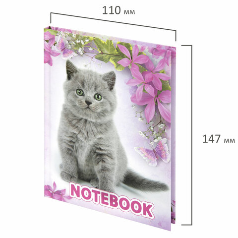 Блокнот А6 110х147мм Котята 80 листов в клетку, твердая обложка, BRAUBERG